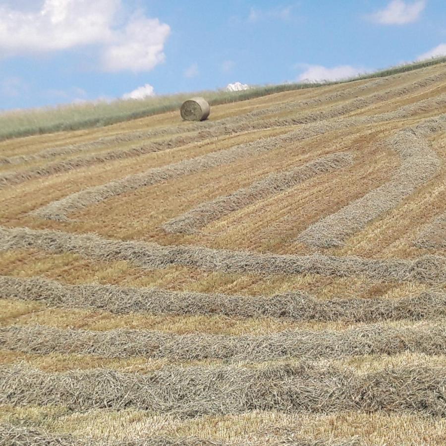 Agriturismo Il Colore Del Grano San Vittore Kültér fotó