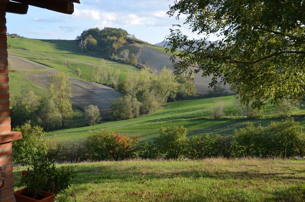 Agriturismo Il Colore Del Grano San Vittore Kültér fotó